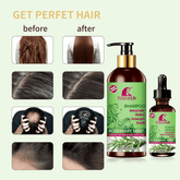 شامبو وزيت الشعر روشون روزماري منت - 500 مل + 60 مل (كومبو)